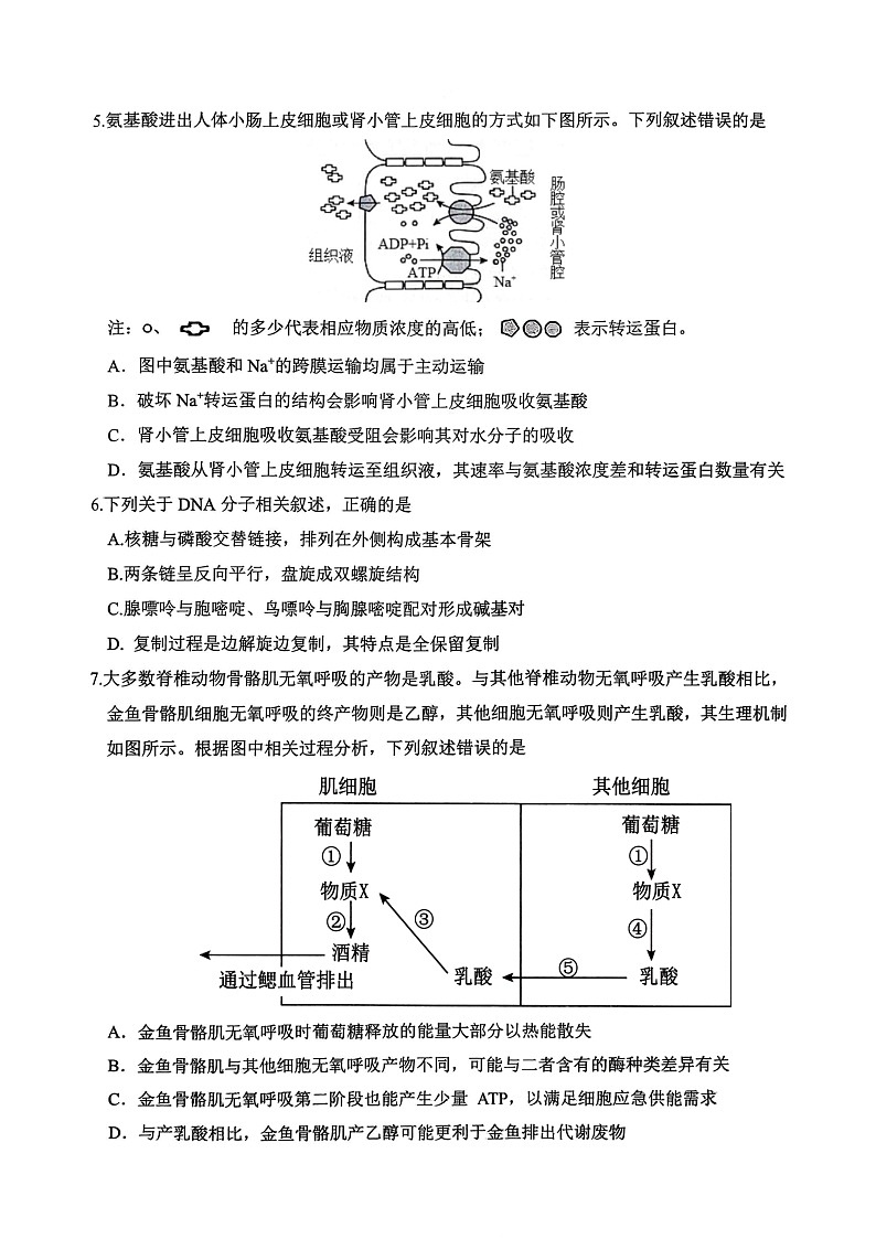重庆九龙坡高2025-2026学年高三上学期期中考试生物试卷第2页