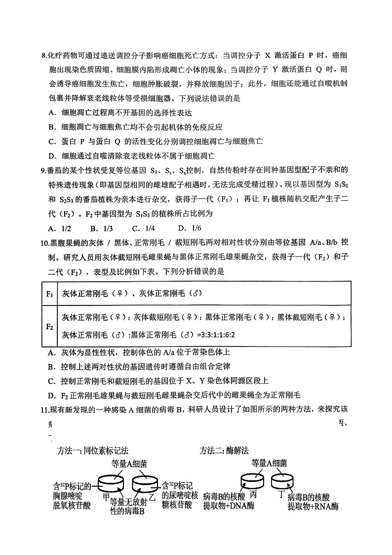 重庆九龙坡高2025-2026学年高三上学期期中考试生物试卷第3页