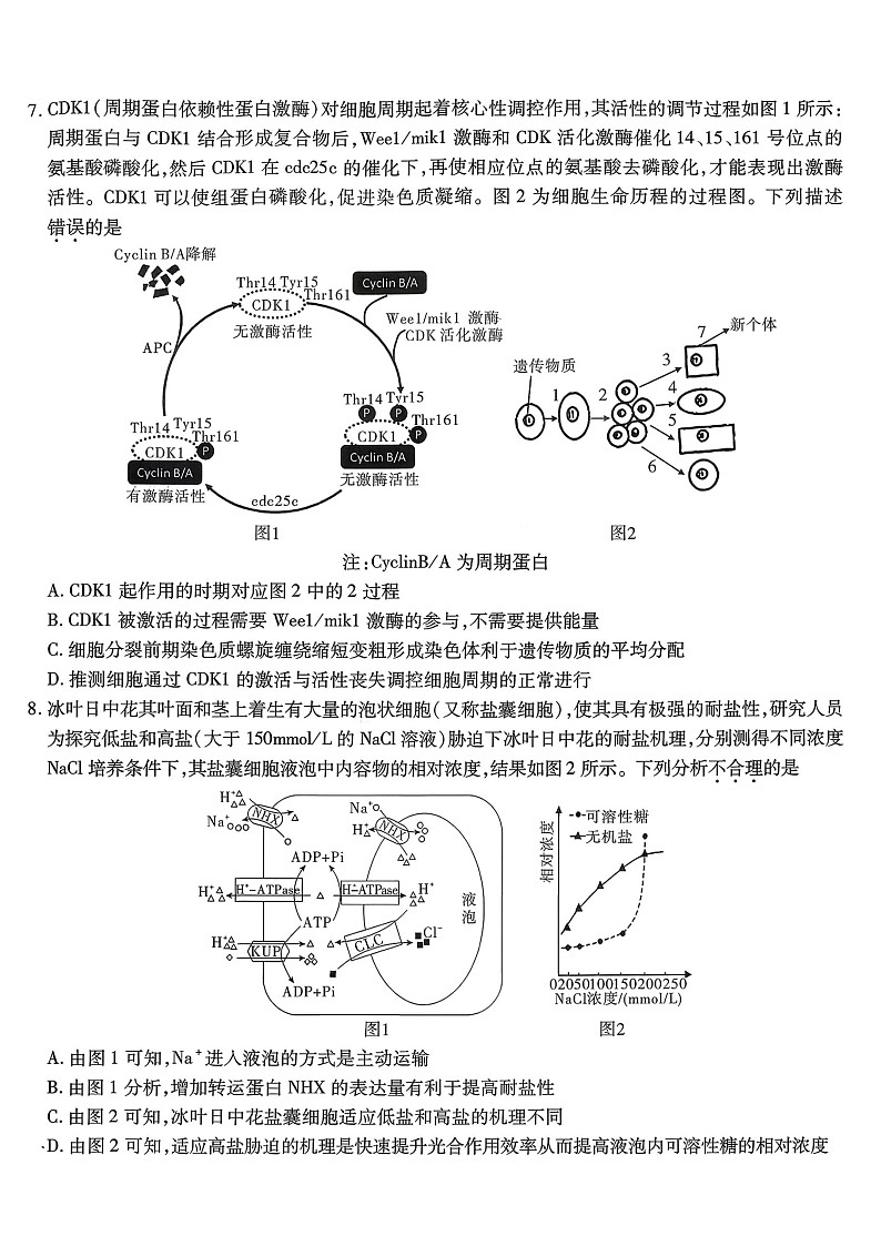 重庆市南开中学2025-2026学年高三上学期11月考试生物试卷第3页