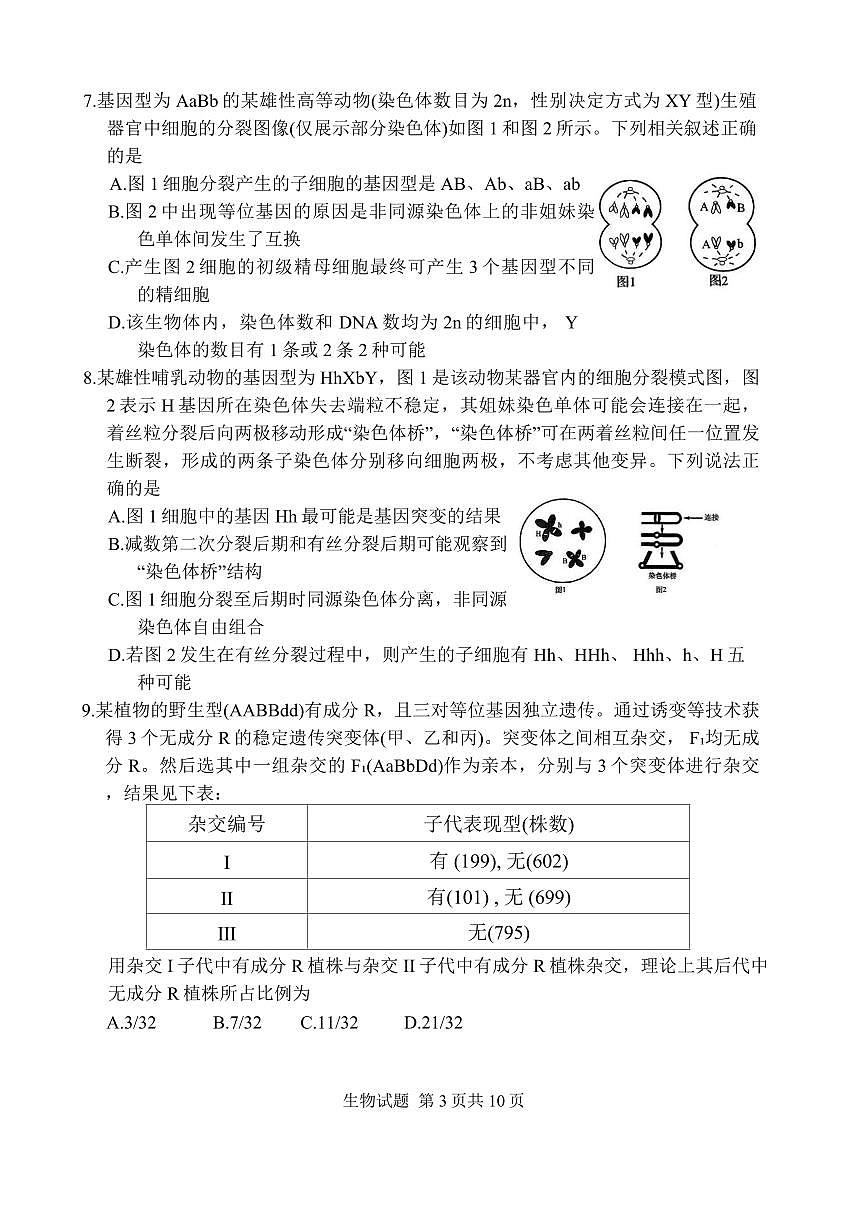 山东省实验中学2026届高三上学期11月第二次诊断考生物试题+答案第3页
