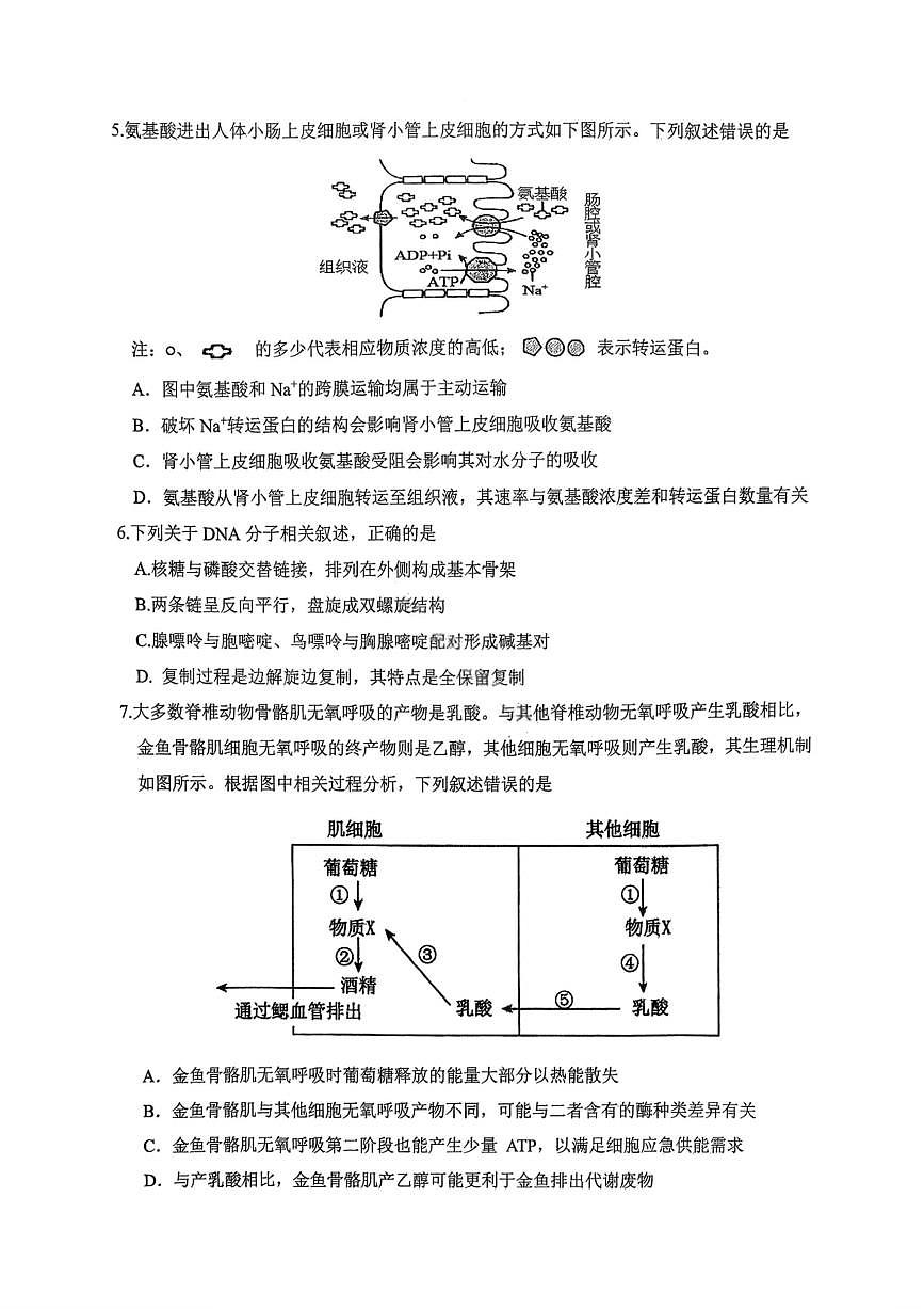 重庆市主城五区2026届高三上学期11月期中考生物试卷+答案第2页