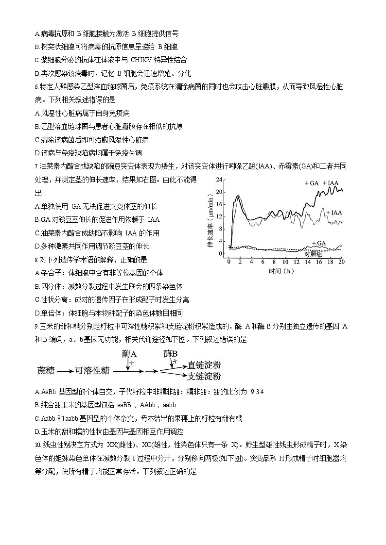 2025北京海淀高三上学期期中生物试卷和答案第2页