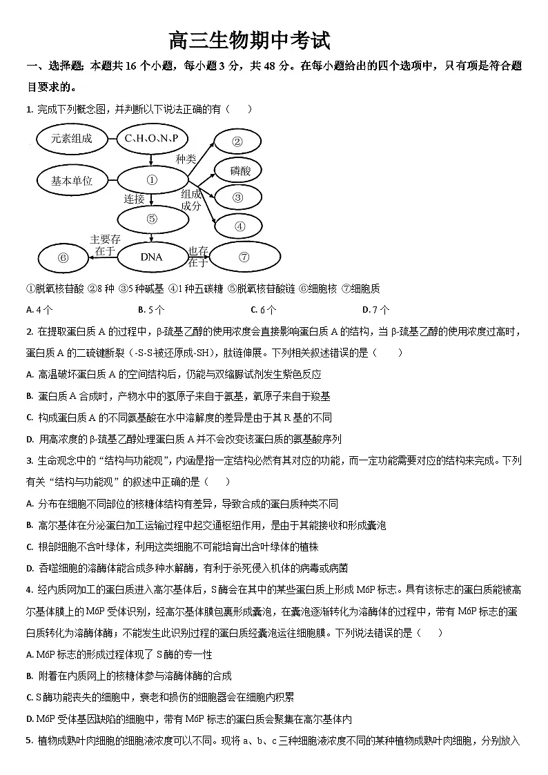 吉林省梅河口市第五中学2025-2026学年高三上学期10月期中考试生物试卷（Word版附答案）第1页