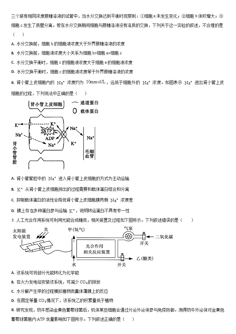 吉林省梅河口市第五中学2025-2026学年高三上学期10月期中考试生物试卷（Word版附答案）第2页