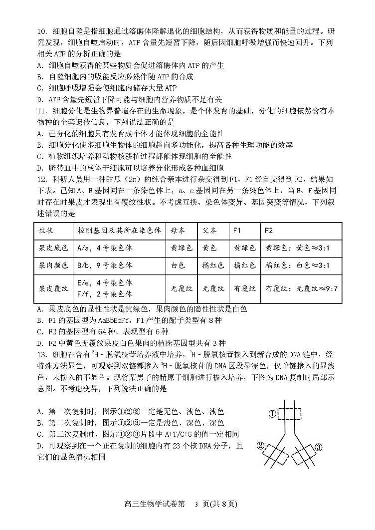 丹东市2026届高三总复习阶段测试生物第3页