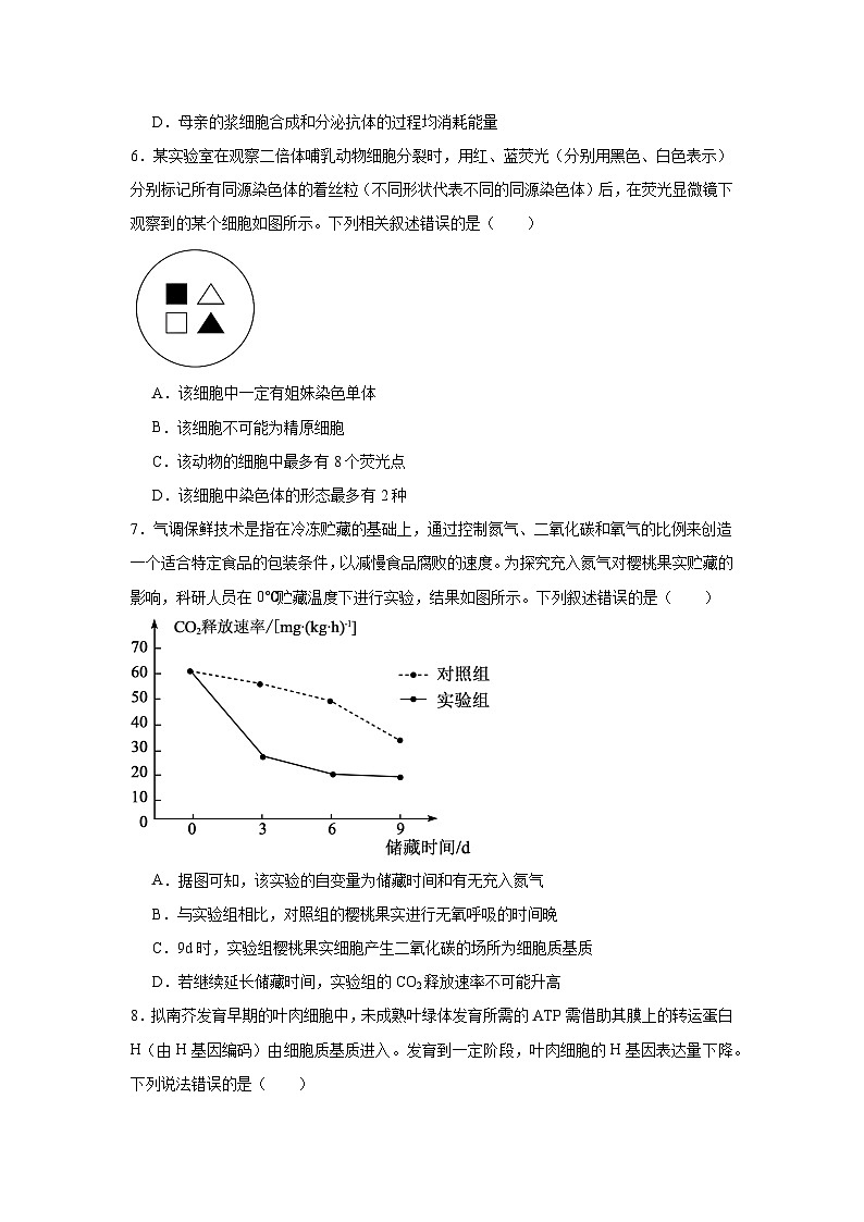 2025-2026学年广东省肇庆市高中毕业班第一次模拟考试生物试题（附答案解析）第2页