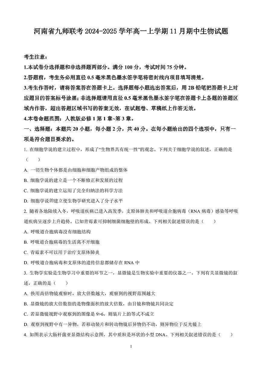 河南省九师联考2024-2025学年高一上学期11月期中生物试题含答案第1页