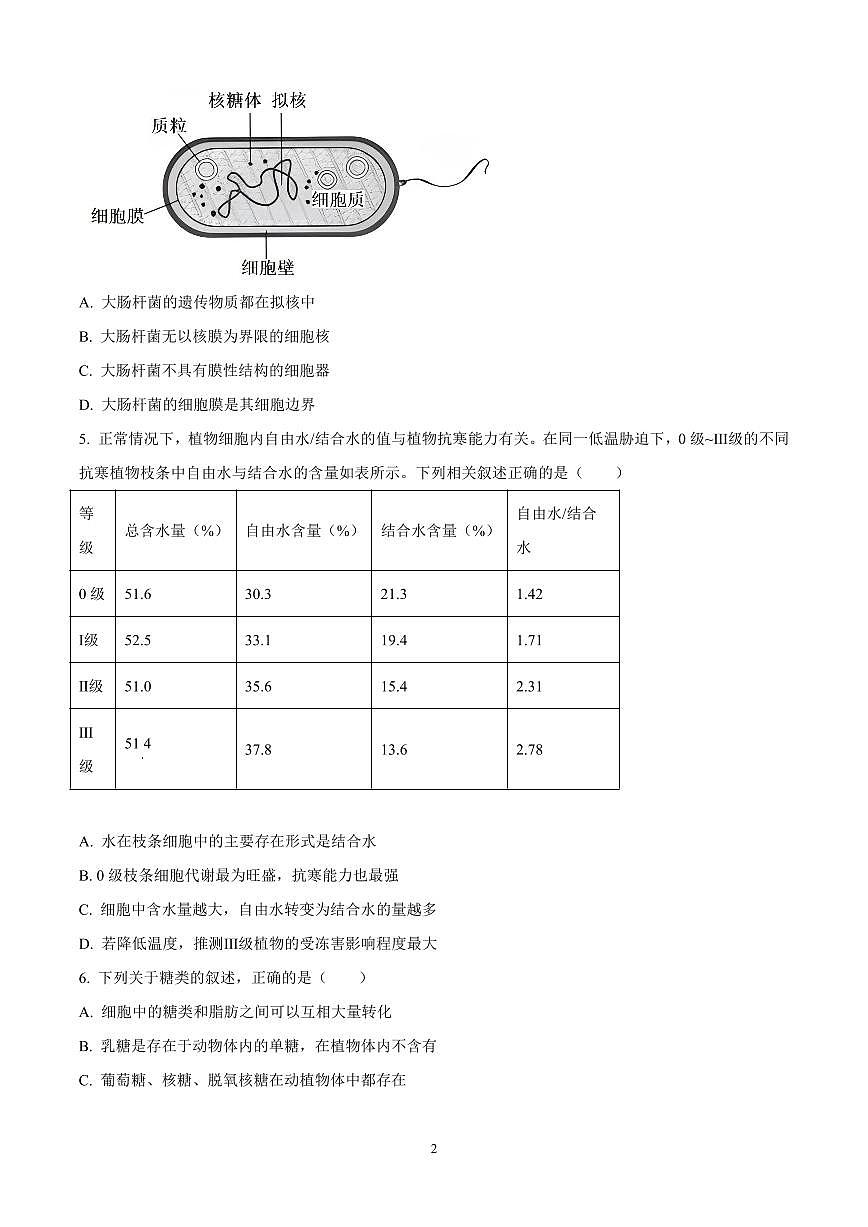 河南省九师联考2024-2025学年高一上学期11月期中生物试题含答案第2页