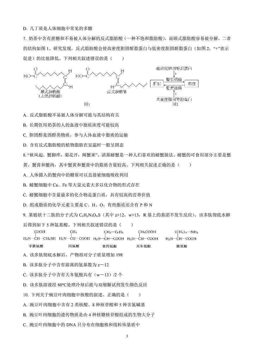 河南省九师联考2024-2025学年高一上学期11月期中生物试题含答案第3页