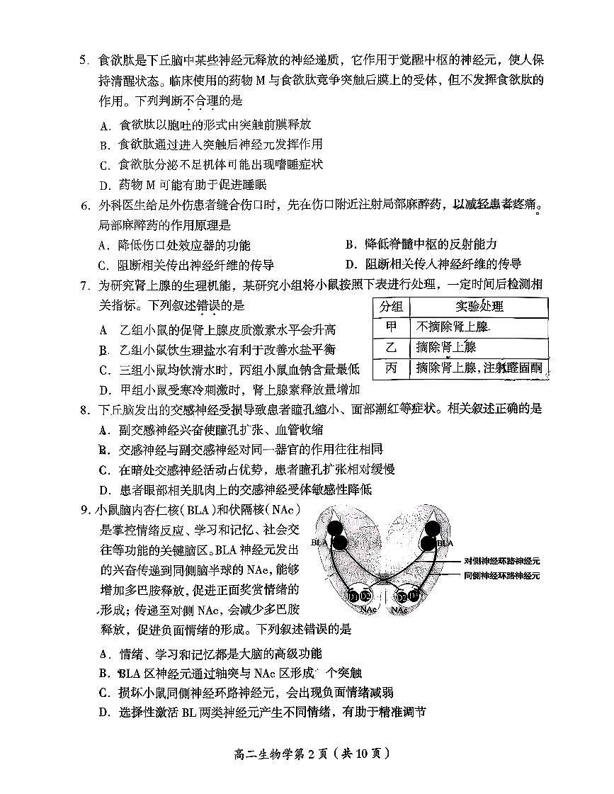 2025北京房山高二（上）期中生物试卷第2页