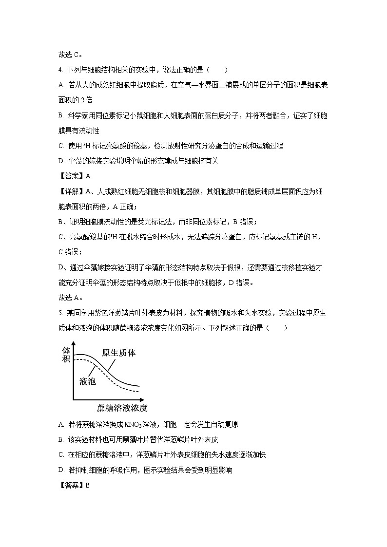 【生物】安徽省皖南八校2025-2026学年高三上学期第一次联考（解析版）第3页