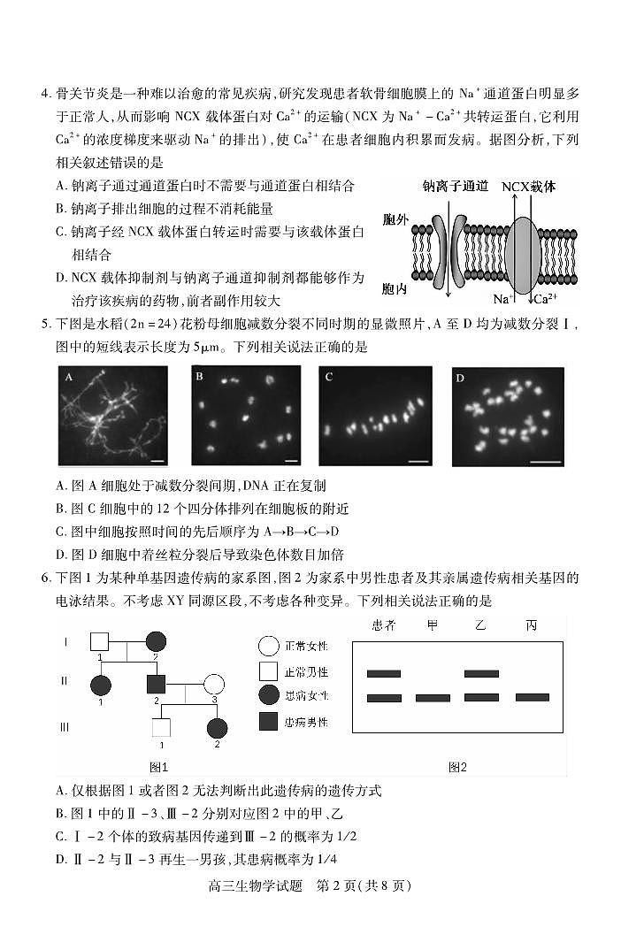 高三生物第2页