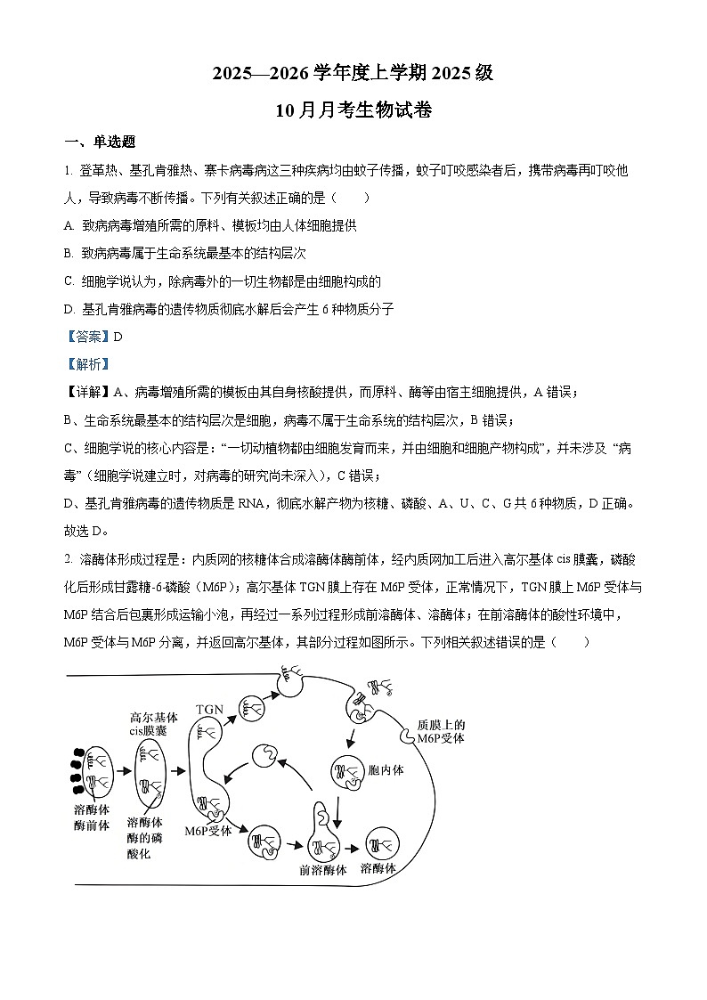 湖北省荆州市沙市中学2025-2026学年高一上学期10月月考生物试题含解析第1页