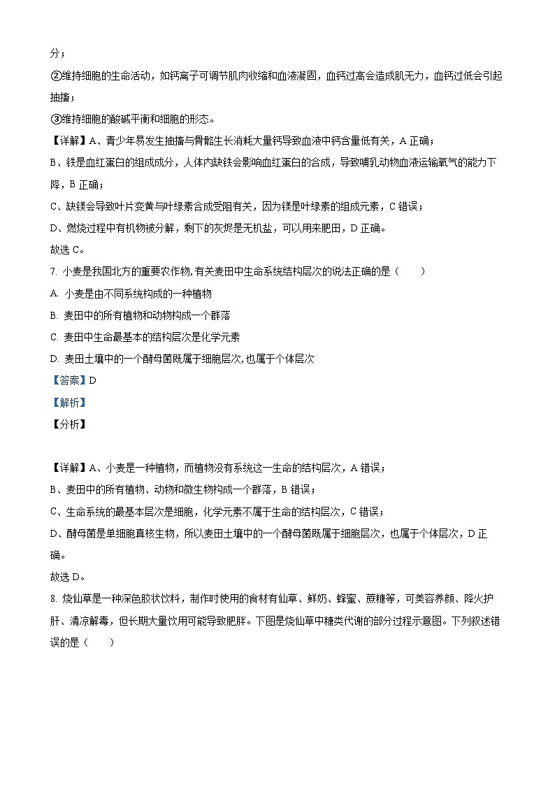 精品解析：河北省衡水市冀州区河北冀州中学2025-2026学年高一上学期10月月考生物试题（解析版）第3页
