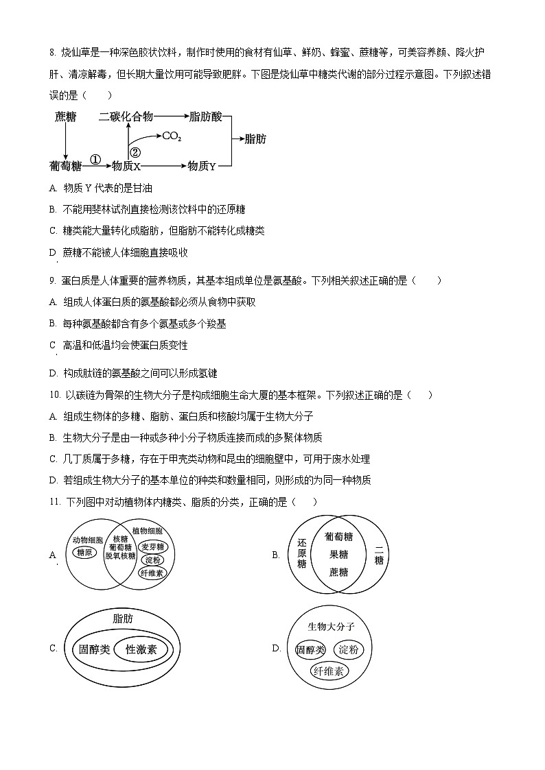精品解析：河北省衡水市冀州区河北冀州中学2025-2026学年高一上学期10月月考生物试题（原卷版）第2页