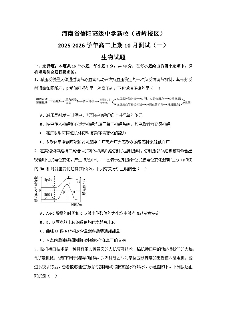 河南省信阳高级中学新校（贤岭校区）2025-2026学年高二上期10月测试（一）生物试题第1页
