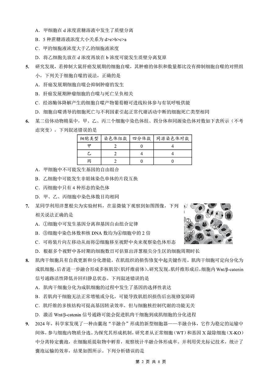 重庆市第一中学校2025-2026学年高三上学期10月月考生物试卷（含答案）第2页