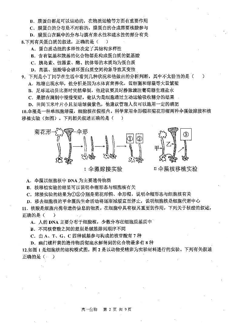 吉林省延边第二中学2025-2026学年高一上学期11月期中生物试题第2页