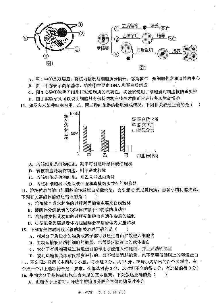 吉林省延边第二中学2025-2026学年高一上学期11月期中生物试题第3页