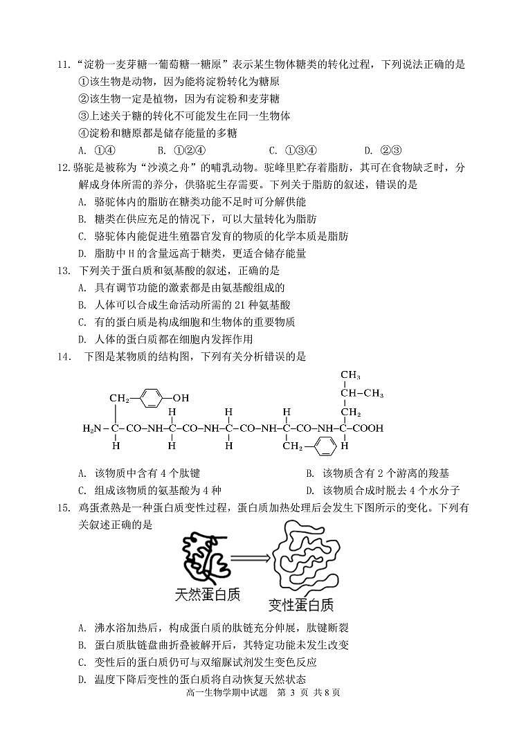 四川省成都市郫都区2025--2026学年高一上学期期中考试生物学试题第3页