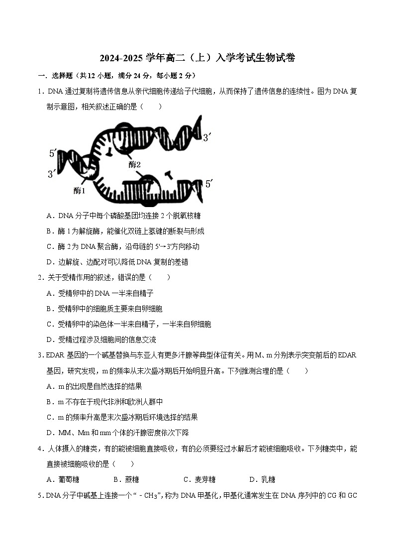 湖南省长沙市望城区第一中学2024-2025学年高二上学期开学生物试题第1页