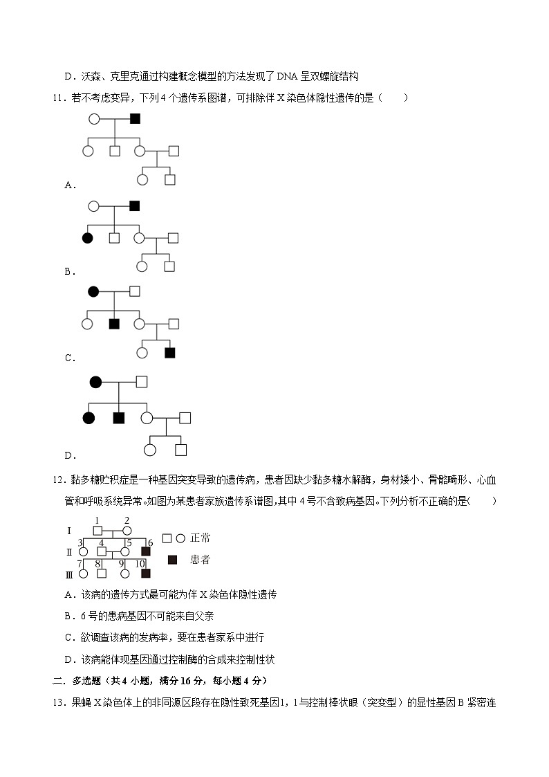 湖南省长沙市望城区第一中学2024-2025学年高二上学期开学生物试题第3页