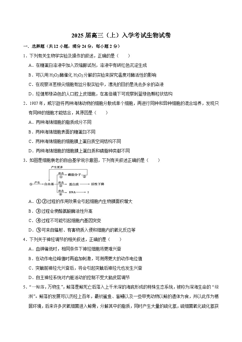 湖南省长沙市望城区第一中学2024-2025学年高三上学期开学生物试题第1页