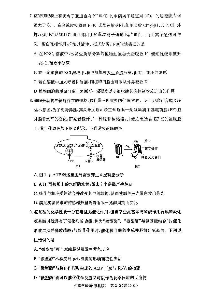 湖南省长沙市雅礼中学2024-2025学年高三上学期月考卷（一）生物试卷第3页