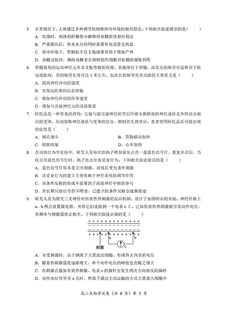 湖北省孝感新高考协作体2025-2026学年高二上学期11月期中考试生物试卷第2页