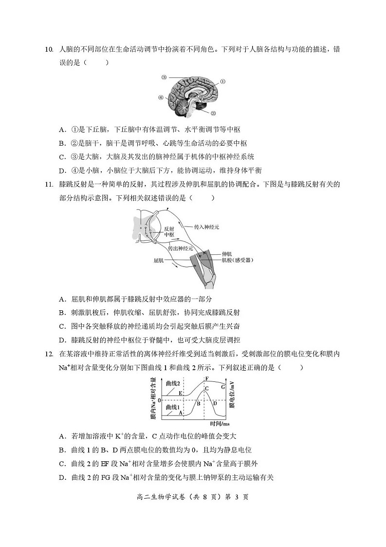 湖北省孝感新高考协作体2025-2026学年高二上学期11月期中考试生物试卷第3页