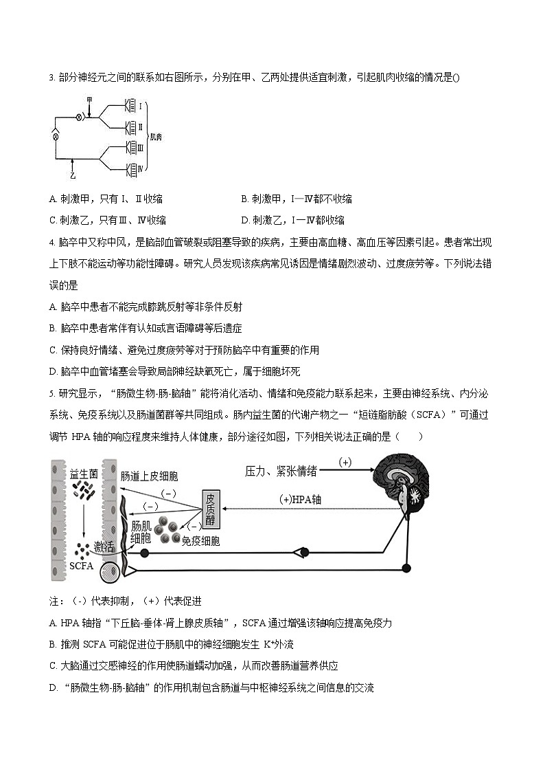 湖南省长沙市望城区第二中学2025-2026学年高二上学期11月期中考试生物试卷第2页