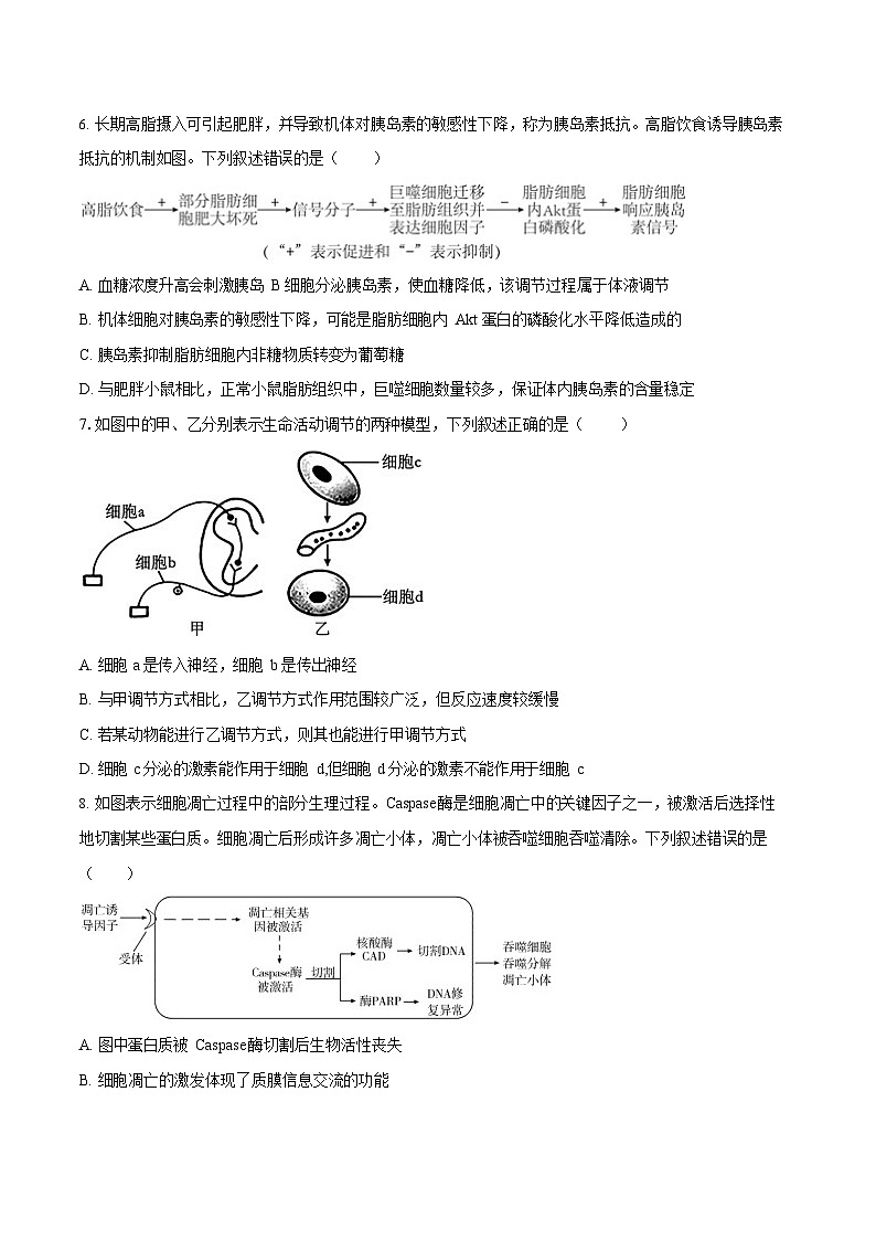 湖南省长沙市望城区第二中学2025-2026学年高二上学期11月期中考试生物试卷第3页