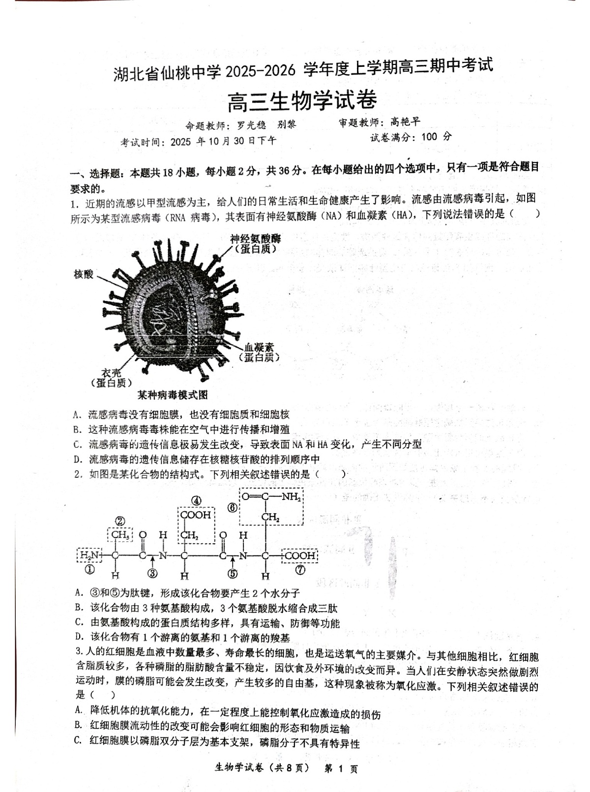 湖北省仙桃中学2025-2026学年高三上学期期中考试生物试卷第1页