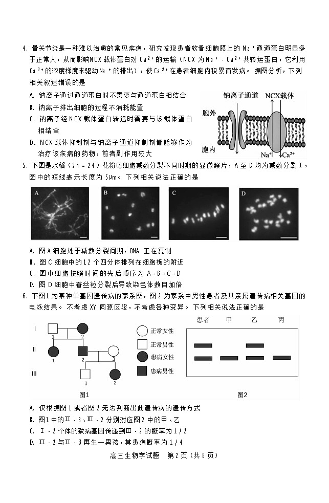 山西省运城市2025-2026学年高三上学期11月期中考试生物试卷第2页