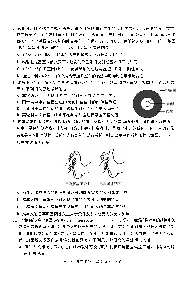 山西省运城市2025-2026学年高三上学期11月期中考试生物试卷第3页