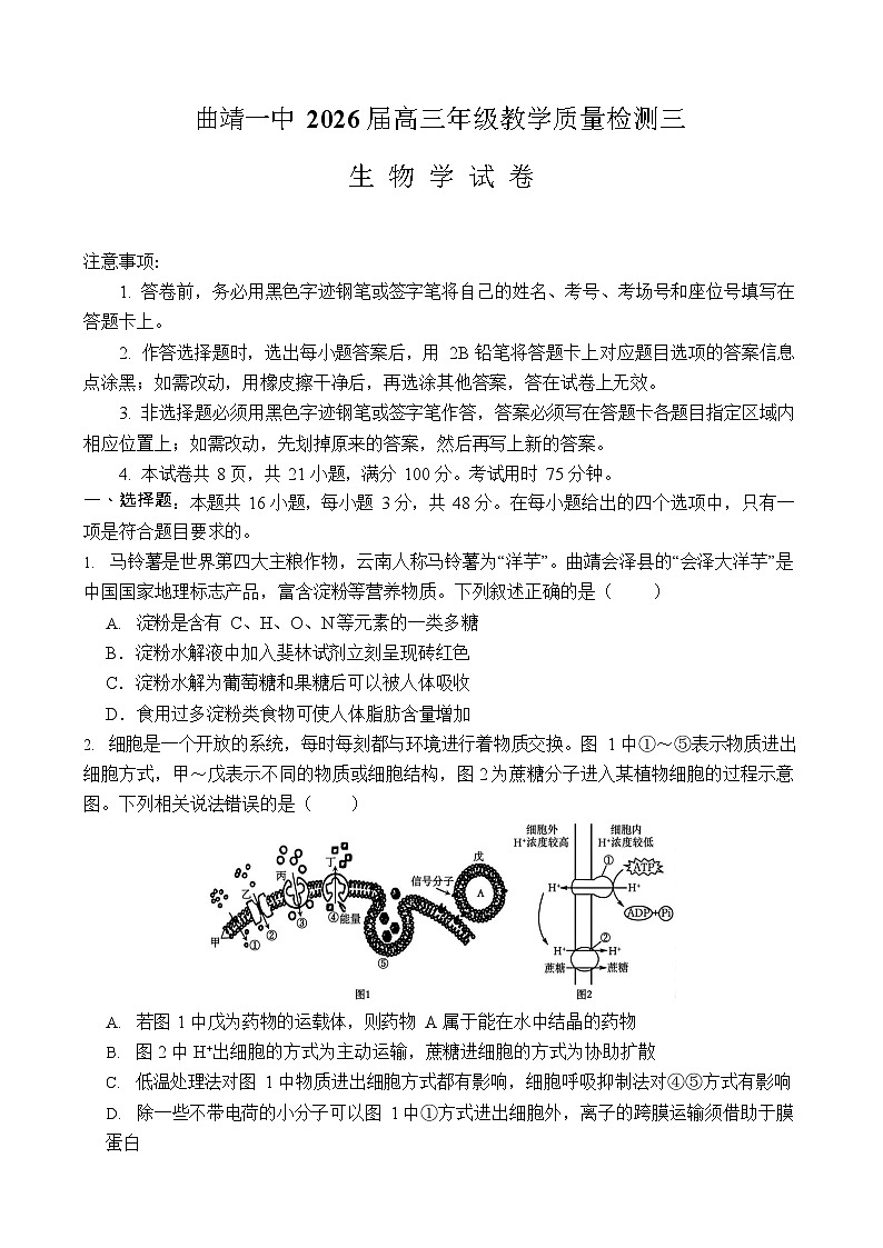 云南省曲靖市第一中学2025-2026学年高三上学期11月期中考试生物试卷第1页