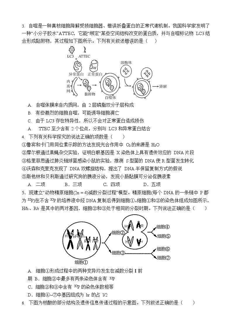 云南省曲靖市第一中学2025-2026学年高三上学期11月期中考试生物试卷第2页