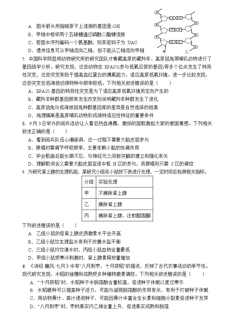 云南省曲靖市第一中学2025-2026学年高三上学期11月期中考试生物试卷第3页