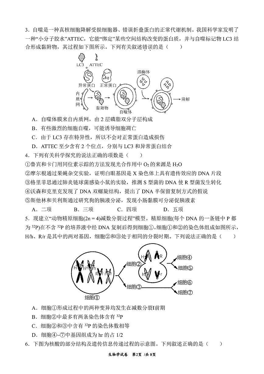 云南省曲靖一中2026届高三上学期11月期中生物试题+答案第2页
