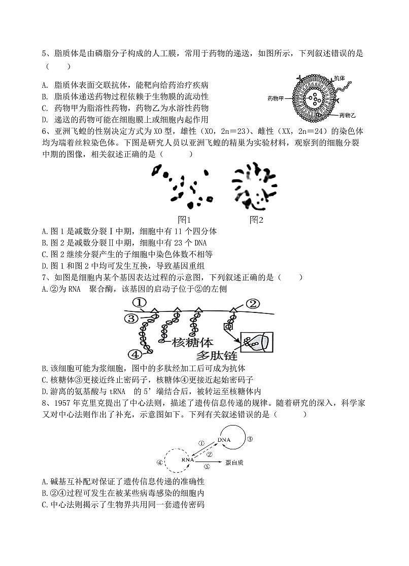 江苏省无锡市澄宜六校2026届高三上学期10月学情调研生物试题+答案第2页