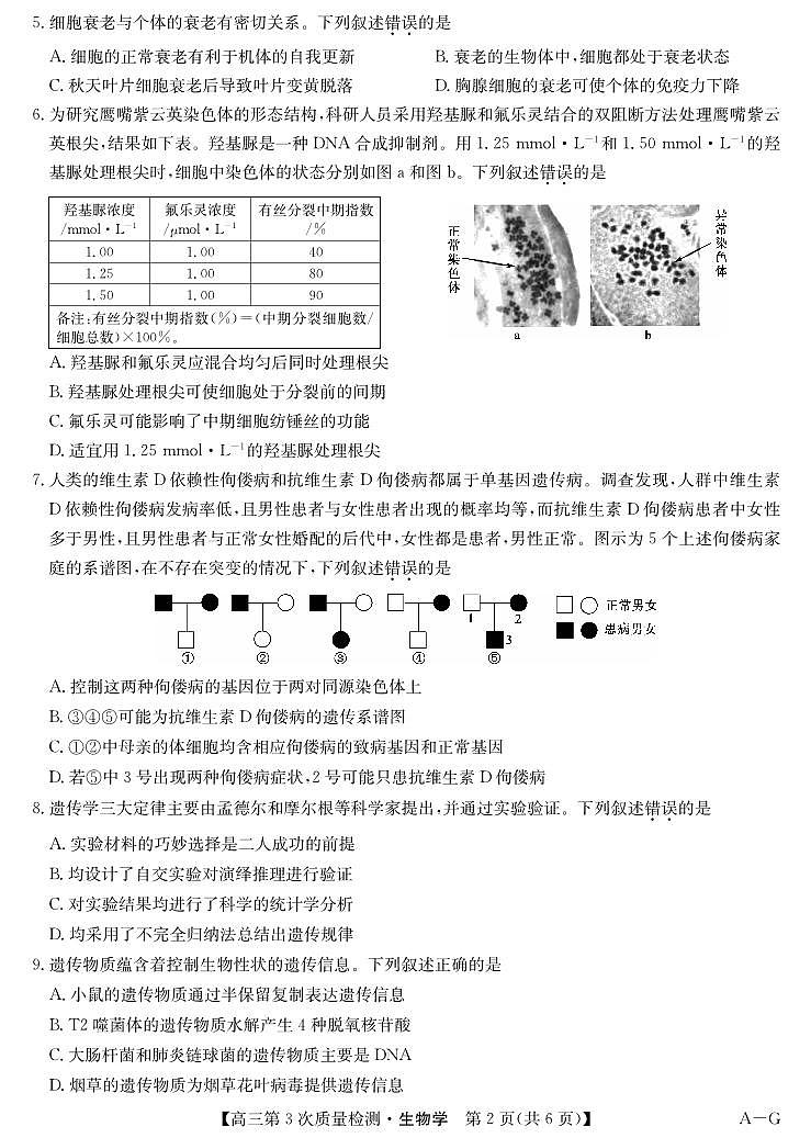 安徽省九师联盟2026届高三上学期11月联考生物试题+答案第2页