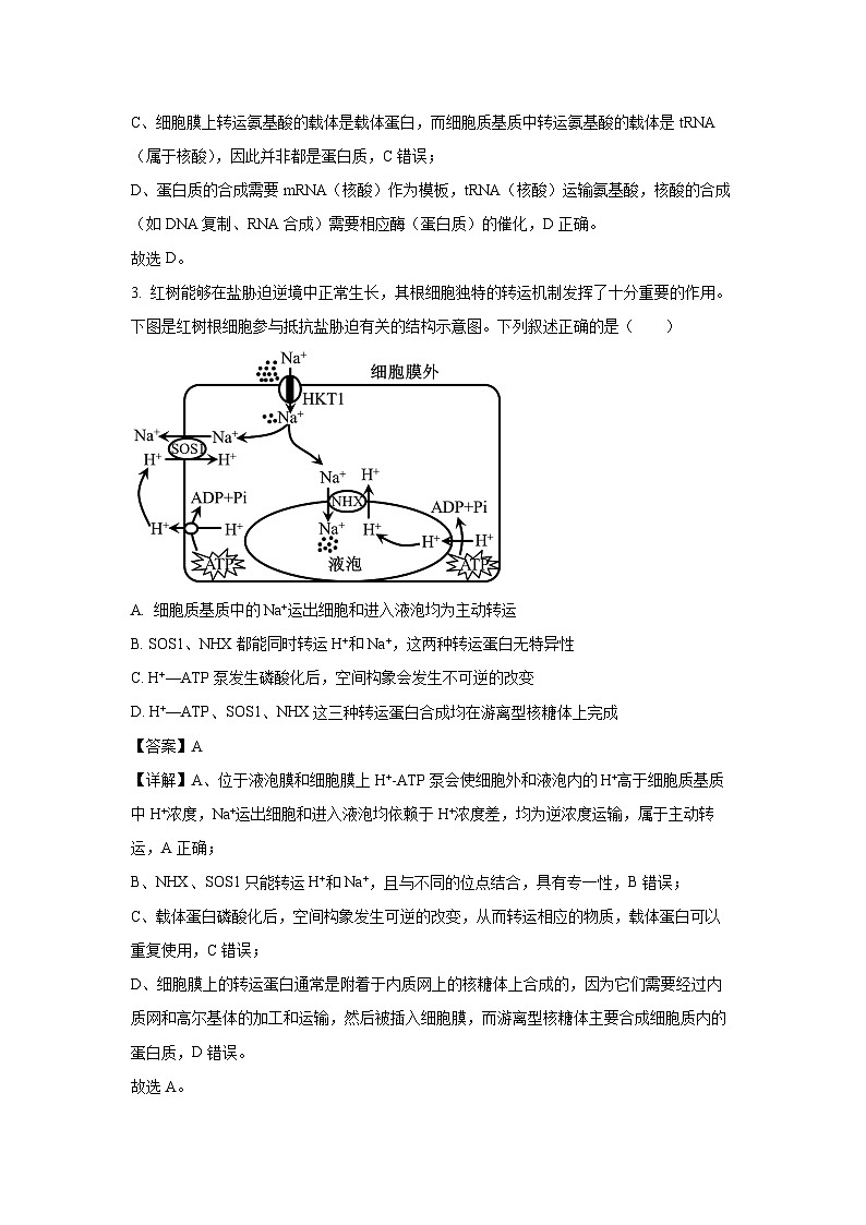 【生物】安徽省示范高中培优联盟2024-2025学年高一下学期5月月考试题（解析版）第2页
