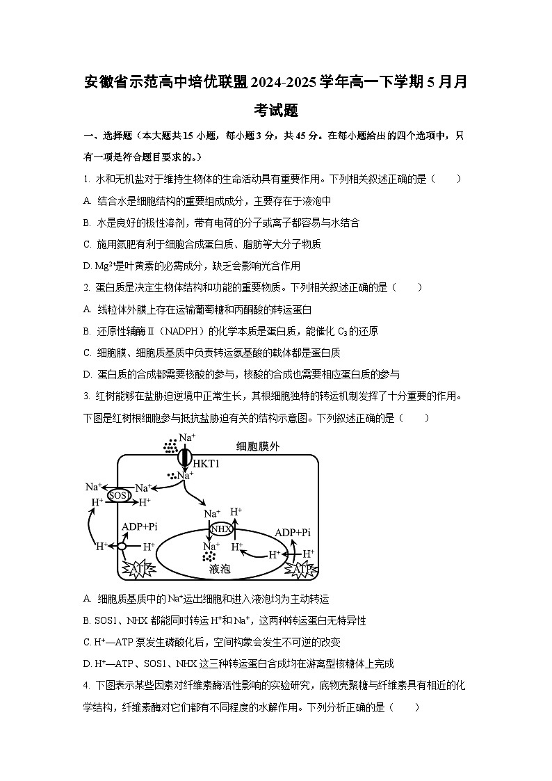 【生物】安徽省示范高中培优联盟2024-2025学年高一下学期5月月考试题（学生版）第1页