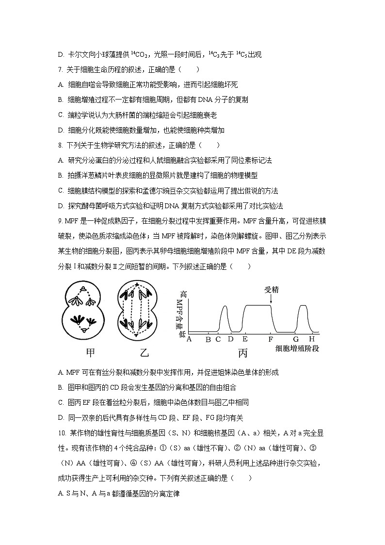 【生物】安徽省示范高中培优联盟2024-2025学年高一下学期5月月考试题（学生版）第3页