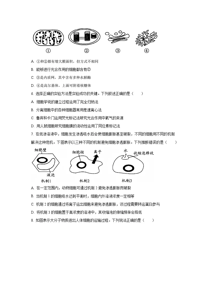 【生物】贵州省安顺市2024-2025学年高一上学期期末教学质量监测试题（学生版）第2页