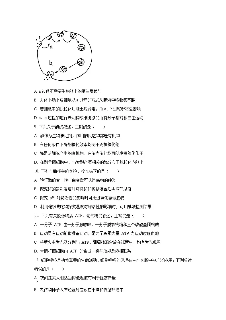 【生物】贵州省安顺市2024-2025学年高一上学期期末教学质量监测试题（学生版）第3页