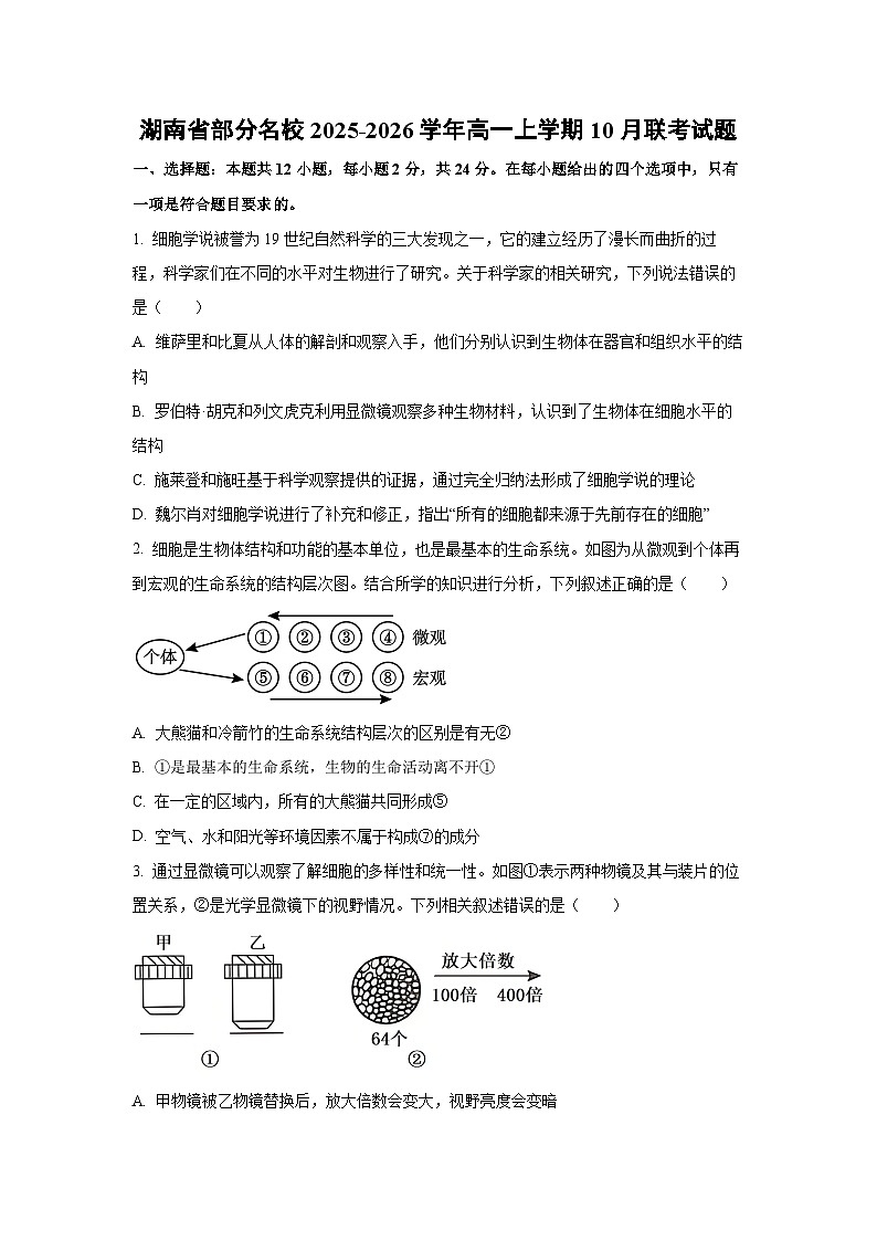 【生物】湖南省部分名校2025-2026学年高一上学期10月联考试题（学生版）第1页