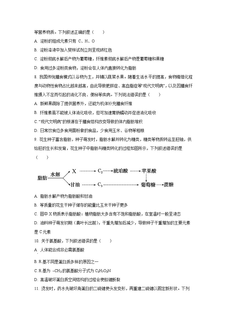 【生物】湖南省部分名校2025-2026学年高一上学期10月联考试题（学生版）第3页
