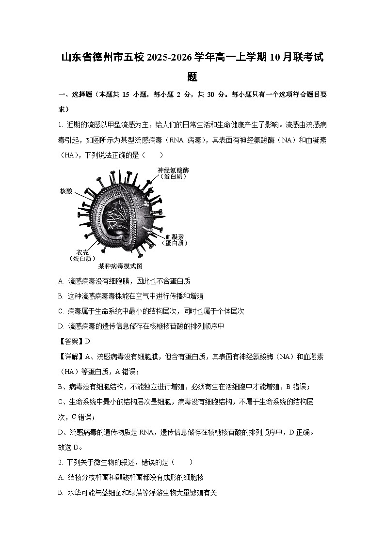 【生物】山东省德州市五校2025-2026学年高一上学期10月联考试题（解析版）第1页