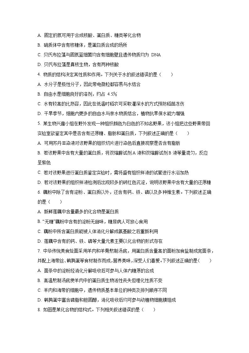 【生物】山东省德州市五校2025-2026学年高一上学期10月联考试题（学生版）第2页